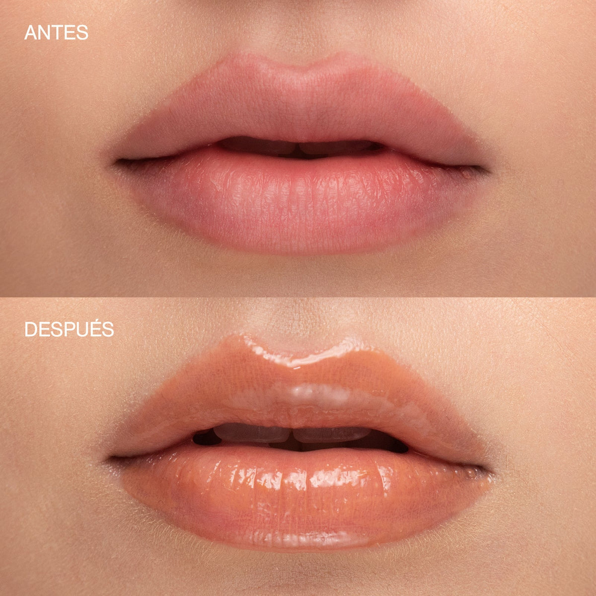 Defined Gloss Brillo para Labios Sublime Atenea